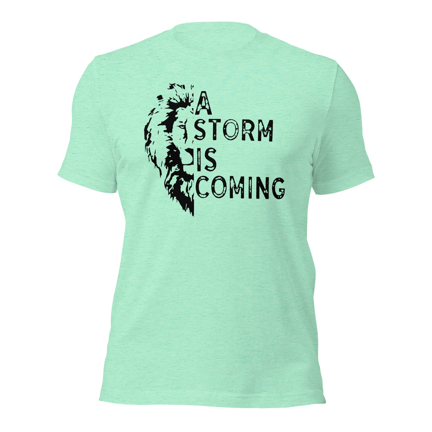 A Storm Is Coming With Lion Unisex t-shirt