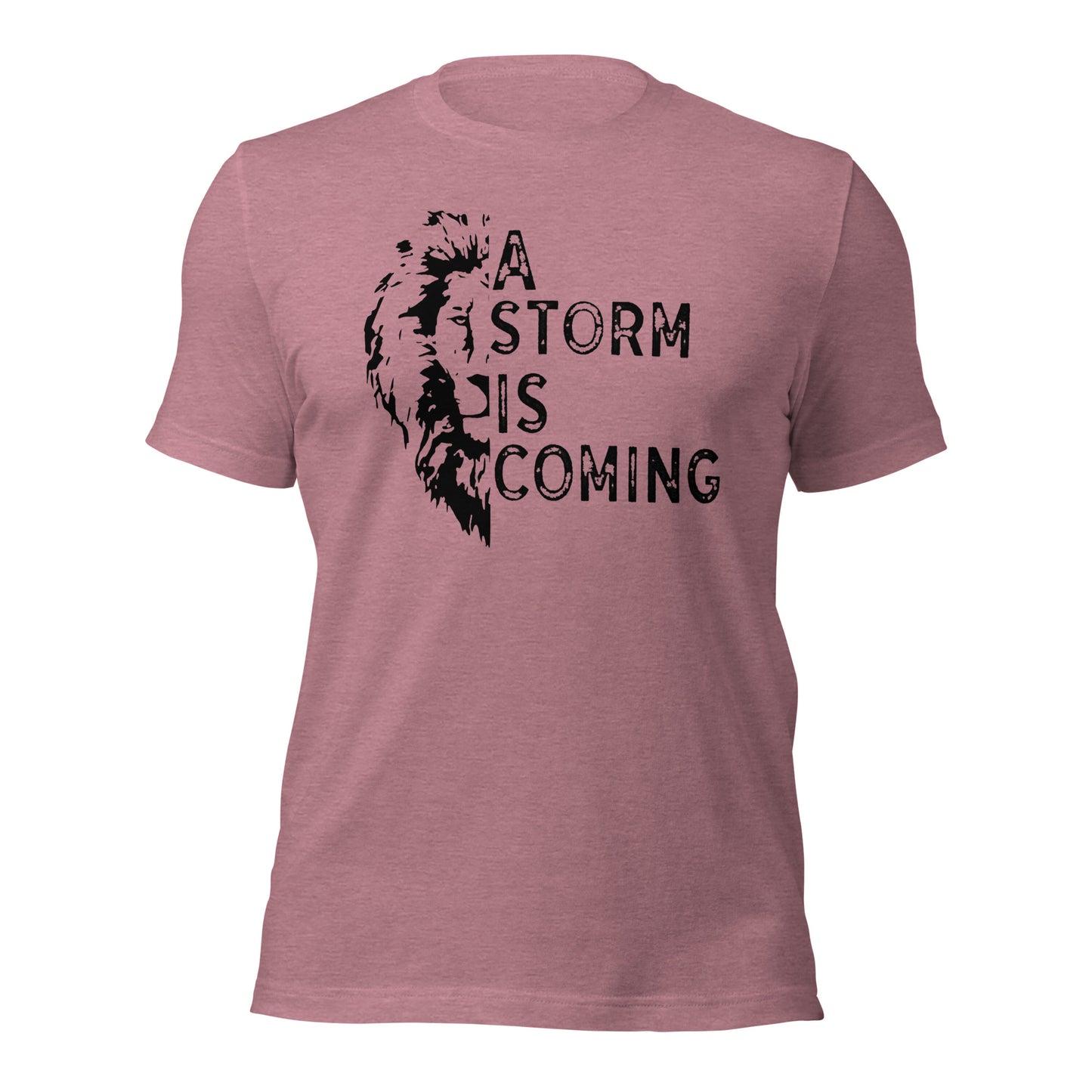 A Storm Is Coming With Lion Unisex t-shirt